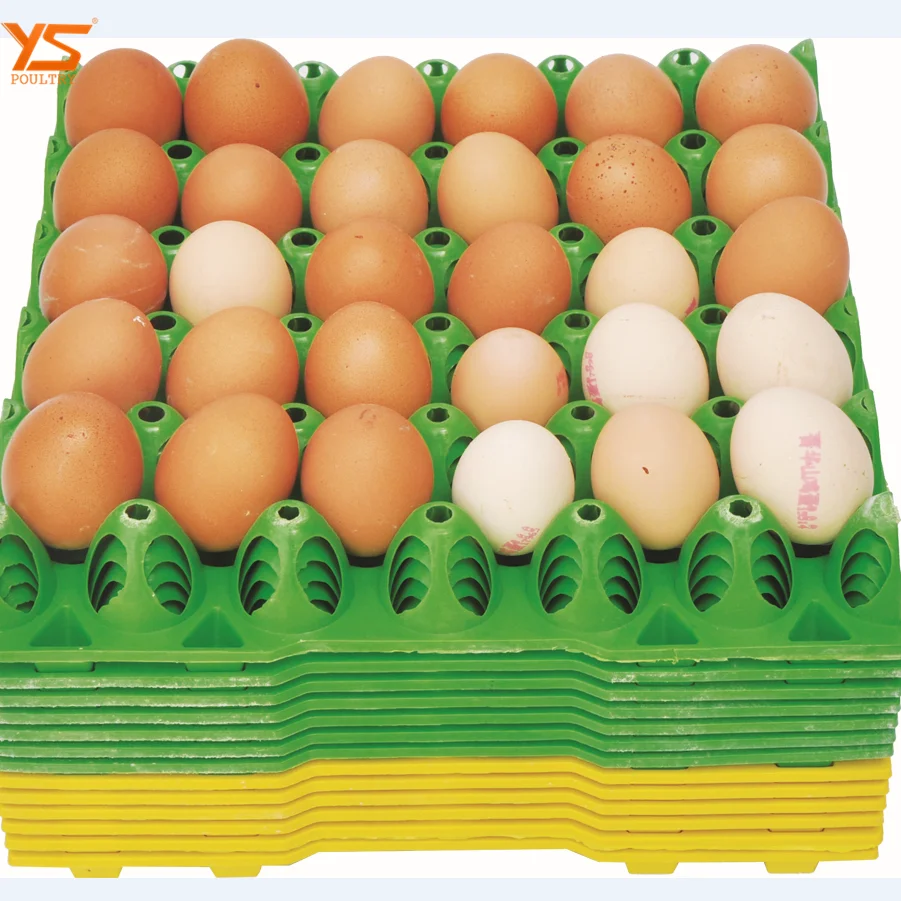 High Quality Egg Crate Plastic Chicken Egg Trays For Transportation