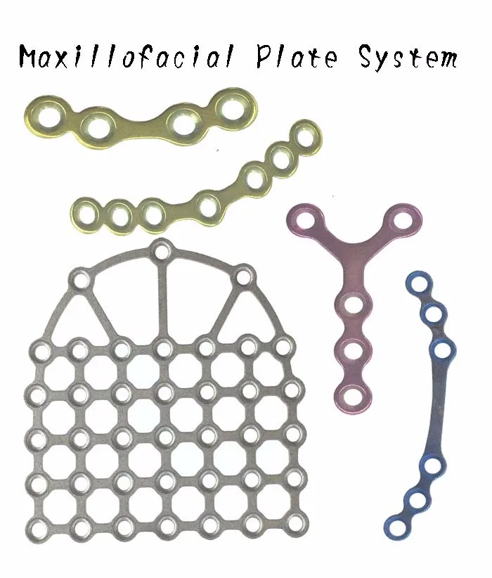 3 maxillofacial plate 1.jpg