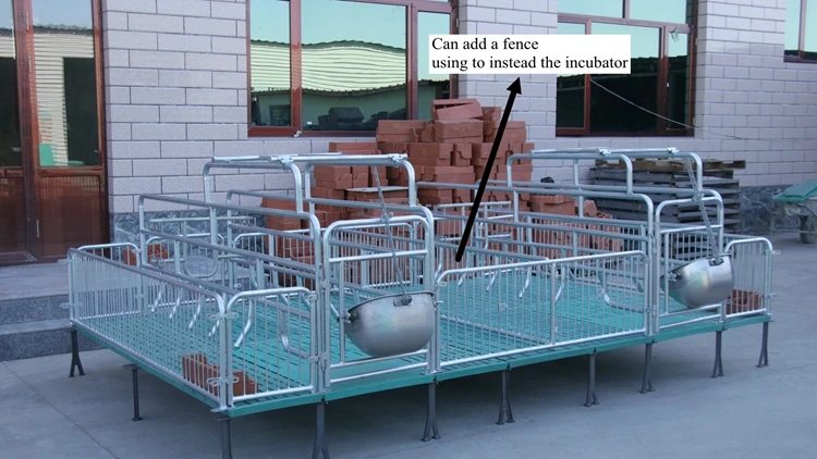Pig Farming Equipment Adjustable Farrowing Crates For Pigs