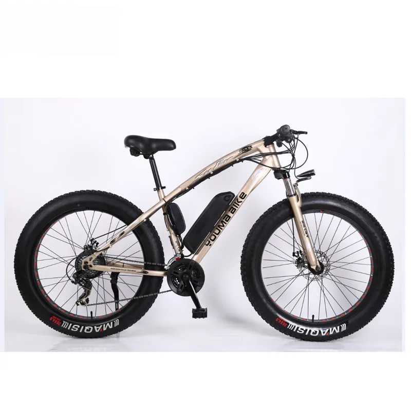 electric cycle online buy