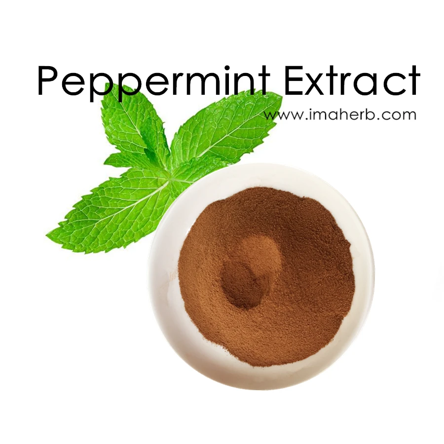 Factory Supply Peppermint Plant Extract/peppermint Extract Powder Buy