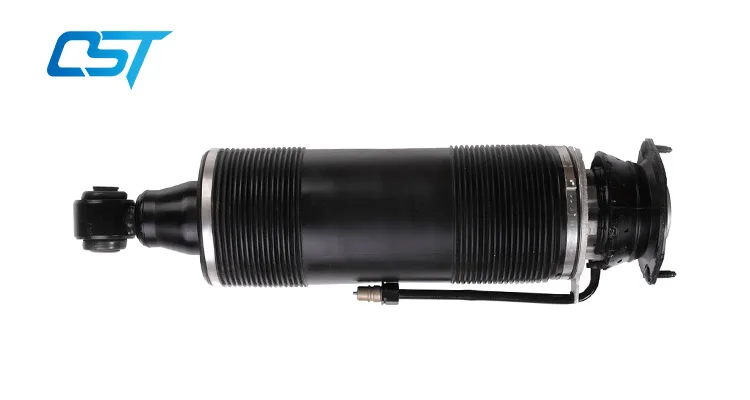 hydraulic strut left rear.jpg