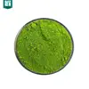 100% natural Organic moringa leaf powder extract/moringa seed extract powder/moringa seeds buyers