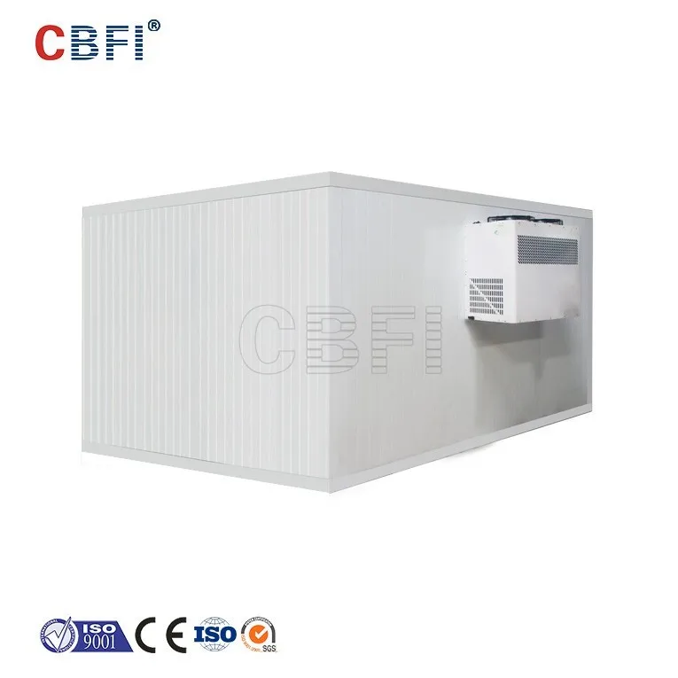 product-CBFI-Standard Mobile Cold Room Refrigeration for Store Food-img-7