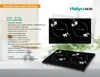 Two Burner Induction Cooker