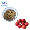 China Manufacturer Supply Natural Hawthorn Fruit/Leaf Extract as Health Supplement