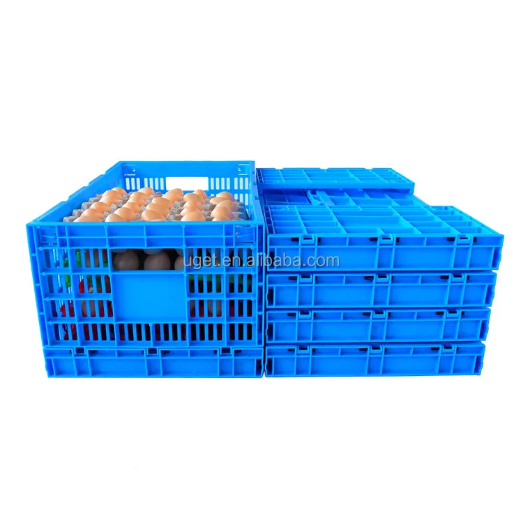 
Warranty period 1 year durable plastic egg crate for sale 