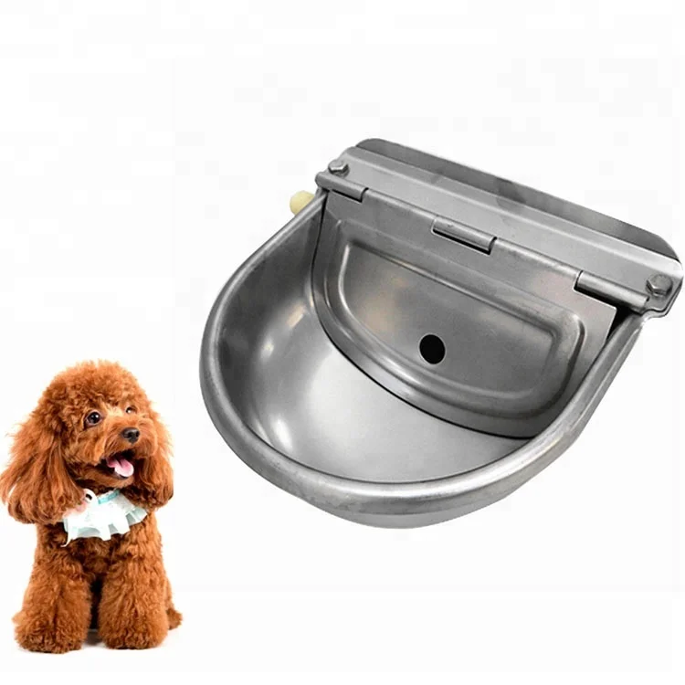 dog drinking bowl.jpg