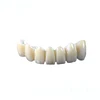 /product-detail/china-supply-cad-cam-dental-lab-material-zirconia-disc-teeth-price-60839192337.html