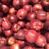 China factory fresh fuji apple red delicious apple for exporting kenya apple mango