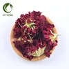 Wholesale Nature Fresh Carnation Carnations Fower