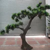 Giant Fiberglass Fake Evergreen Real Touch Artificial Pine Christmas Tree For Home