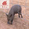 galvanized 4 rail corral panels / hot sale cheap cattle panels