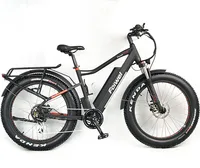 

48V 750w big power Electric Bike/electric fat bike/e bike fat tire electric for sale