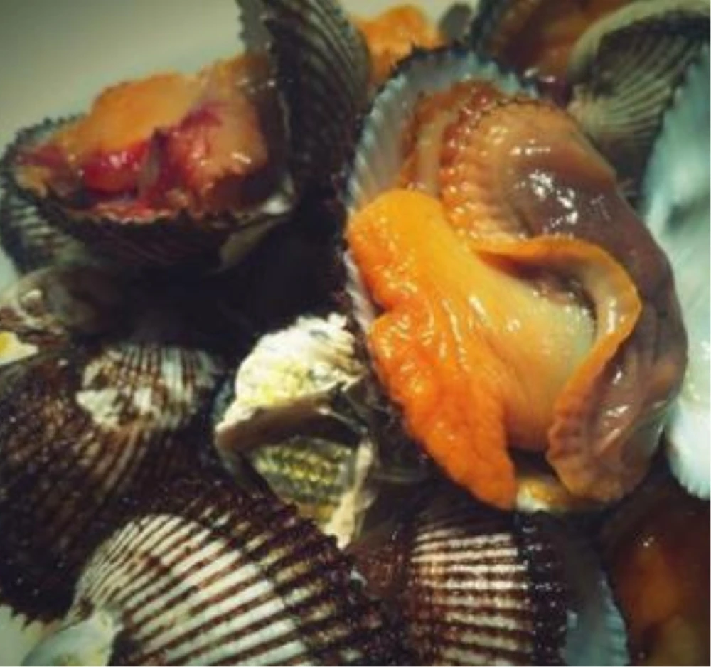 
Chinese Local Frozen Blood Clam For Buyer 