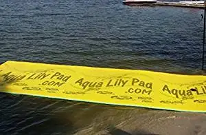 aqua lily pad bullfrog