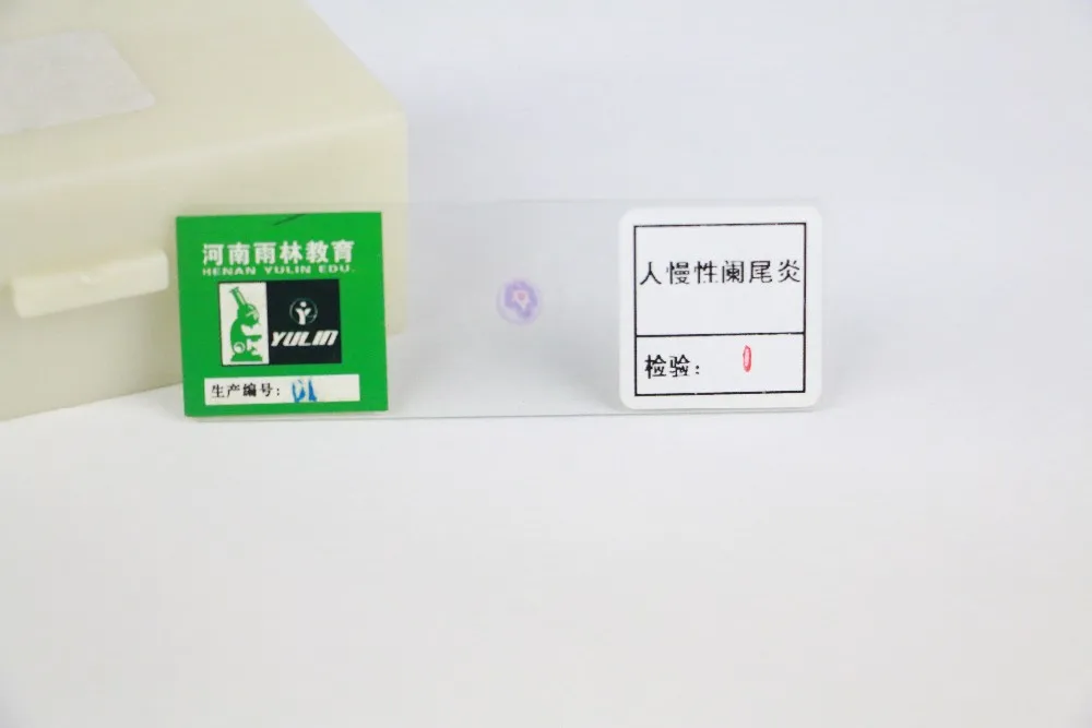 Laboratory Glassware Teaching Microscope Slides Microslides Biology