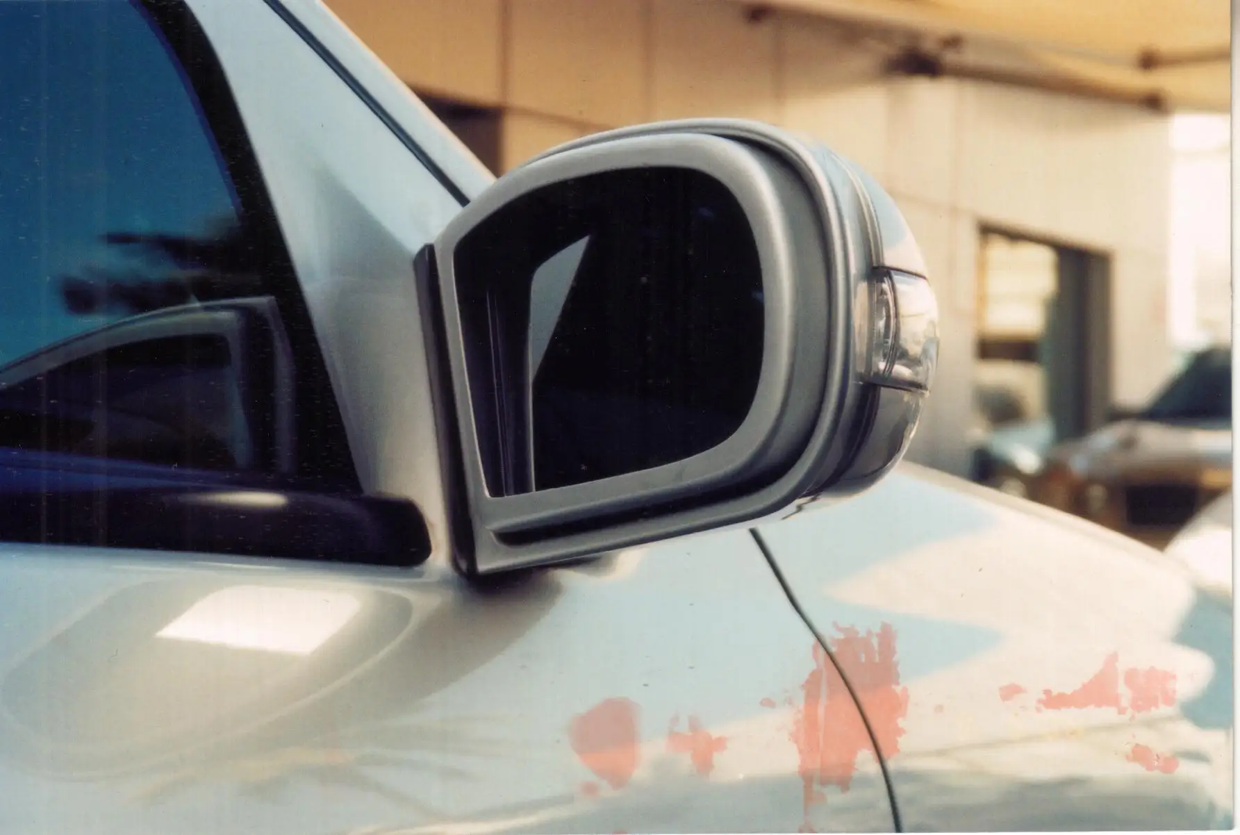 auto mirror guard