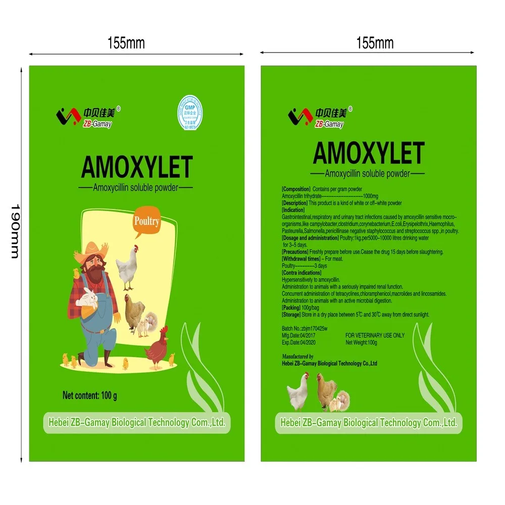 amoxicillin 500mg 3 times a day for 7 days