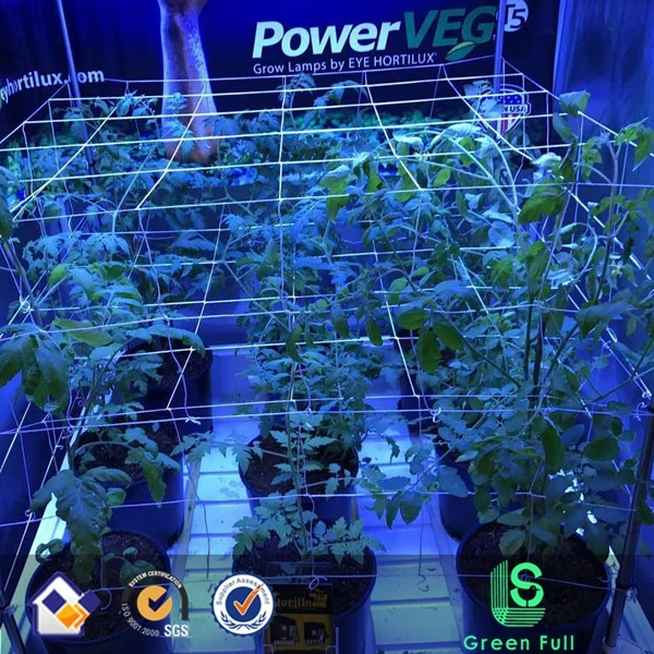 Heavyduty Polyester Plastic Nylon Biodegradable Plant Trellis Netting