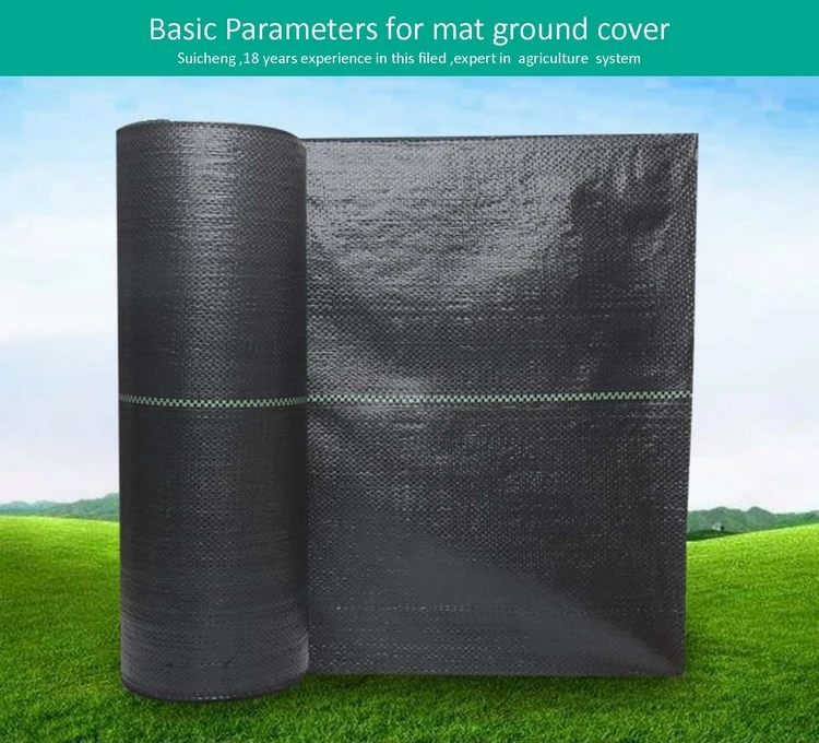 mat ground cover (2).jpg