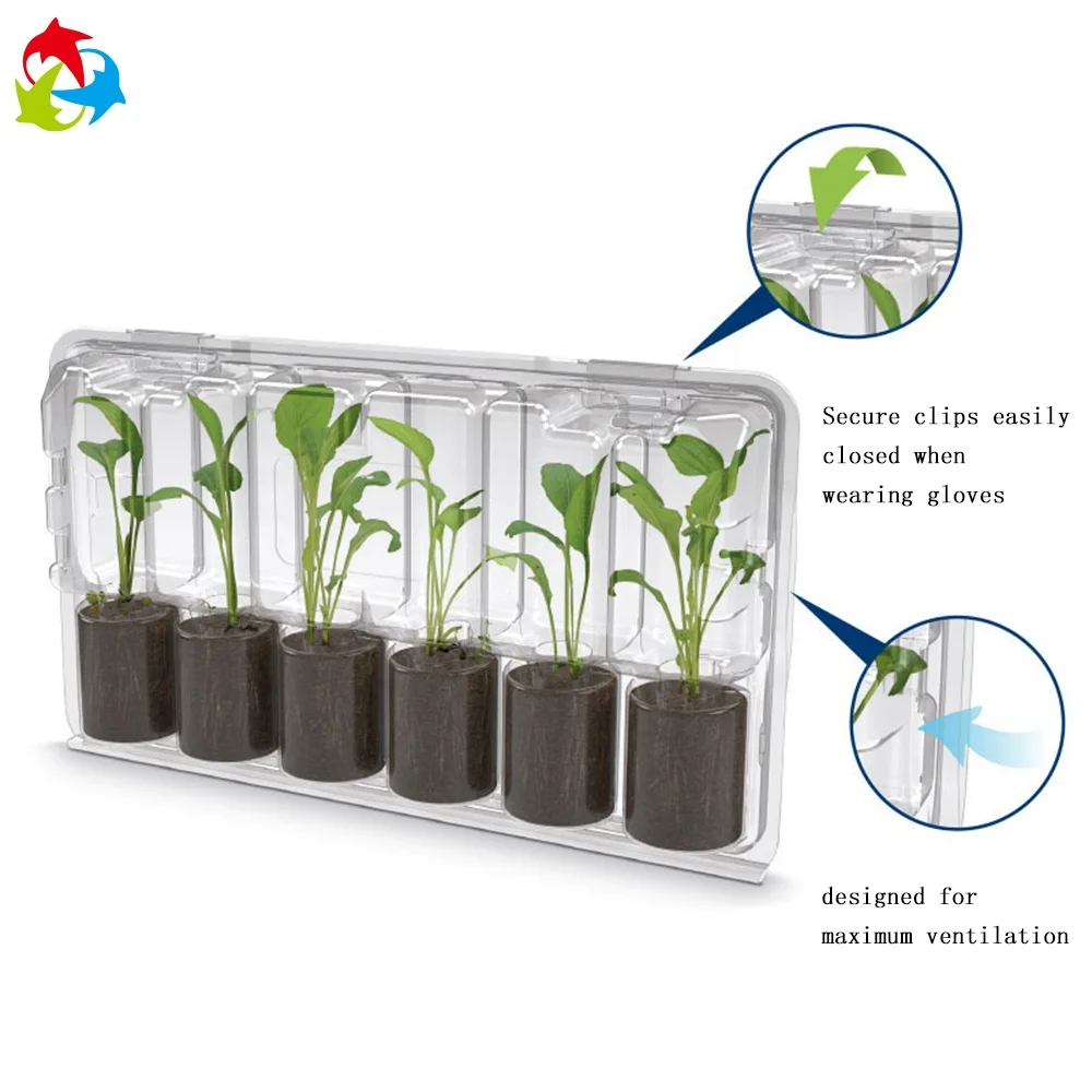 
Customized plastic clamshell blister packaging for plants 