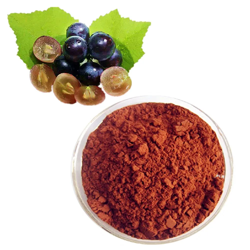 organic natural grape seed extract powder for sale