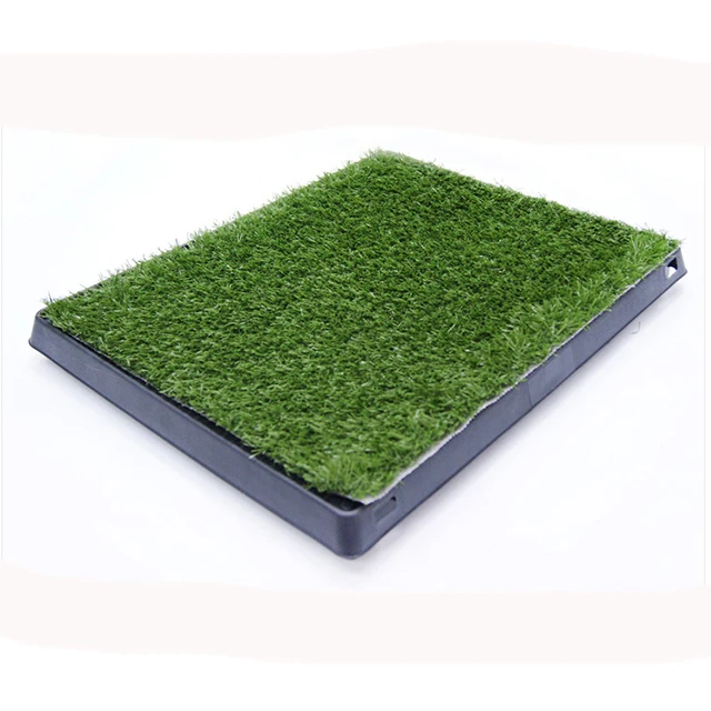 Pet Artificial Grass Bathroom Mat Portable Dog Potty Buy Portable Dog Potty Dog Potty Artificial Grass Bathroom Mat Product On Alibaba Com Pet Artificial Grass Bathroom Mat Portable Dog Potty Buy Portable Dog Potty Dog Potty Artificial Grass Bathroom Mat Product On Alibaba Com