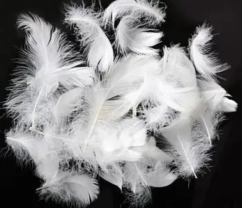 Artificial Bulk Large White Feathers 