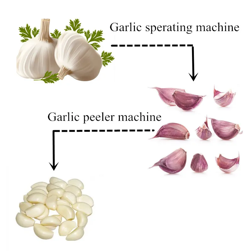 China special commercial goods used garlic seperating machine ,garlic seperating machine price,garlic seperating machine on sale