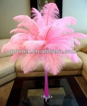 used ostrich feathers