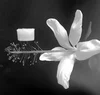 Aerogel insulation material adapted to various shapes of pipes and equipment