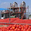 Multi-functional forced circulation mini rotary vacuum evaporator for juice / milk / dairy / fruit jam processing