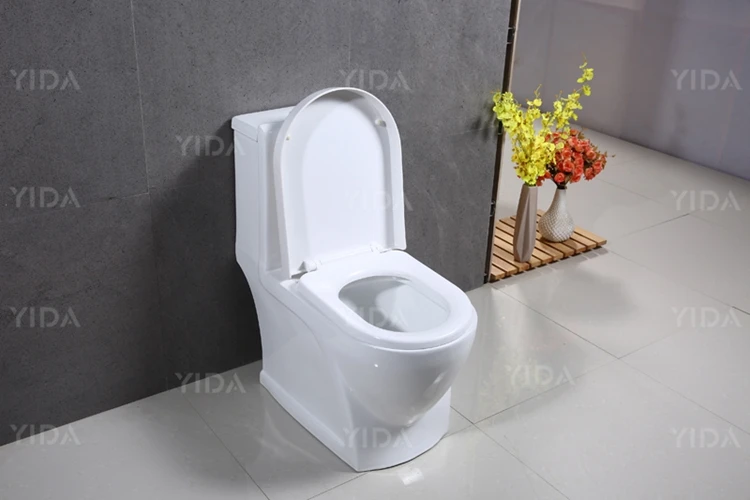 Ethiopia Golden Dragon Ptrap Strap ceramic one piece toilet wc