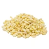 Factory Price Selling Pine Nuts Buyers Pine Nuts Mongolia