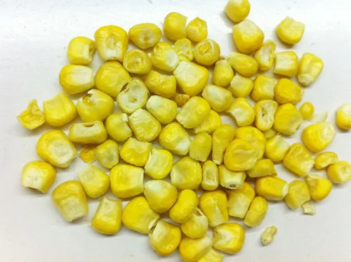 Freeze-Dried-Sweet-Corn-WHFD001-.jpg