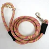 Jixin Pet New Design Nylon Braided Rope Dog Walking Leash Wholesale