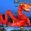 MY Dino-C043 Decorative LED lighting flying dragon