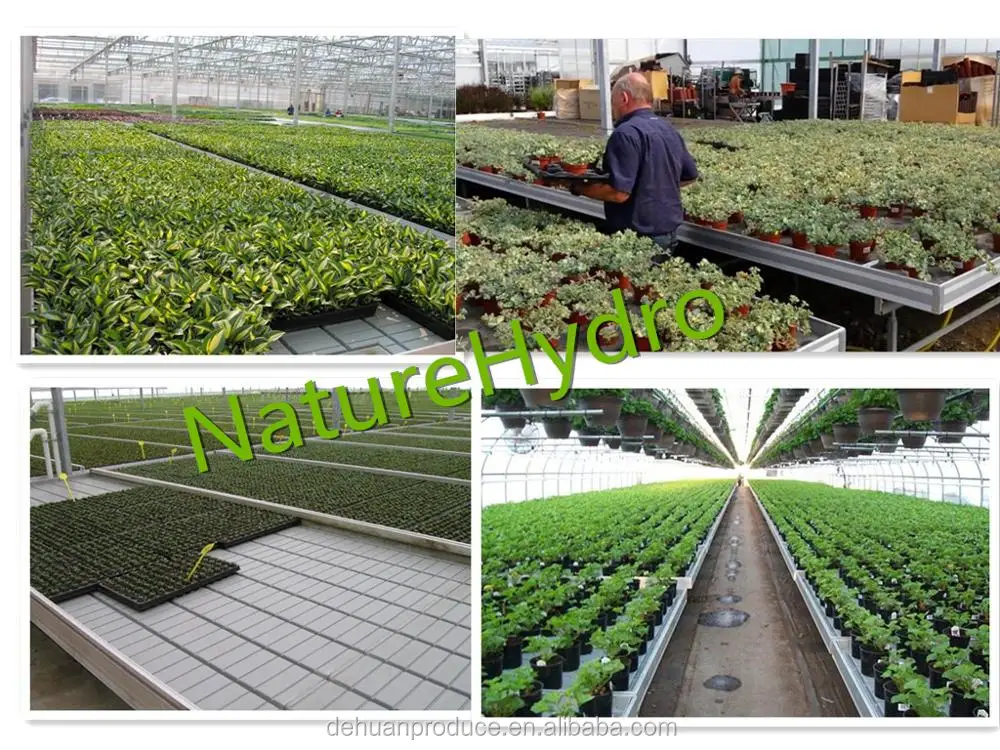 Plant Nursery Equipment Thenurseries Plastic Plant Nursery Equipment Growing Trays