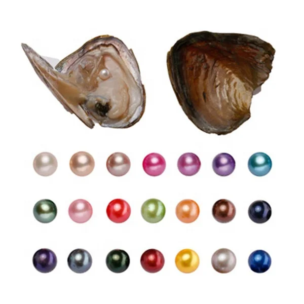 

Bulk Wholesale Freshwater Wish Oyster With wish pearl 6-8mm Natural Round Pearls