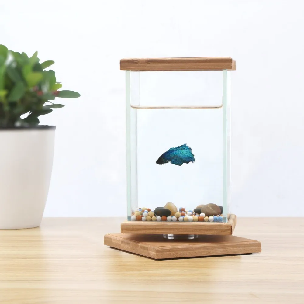 cylinder fish tank small modern home aquariums