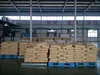 Maleic Anhydride Grafted PP/PE/compound/pe coupling agent