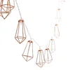Custom party decoration 3m 20LED warm white rose gold metal LED string light