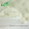 Fish Collagen Tripeptide powder
