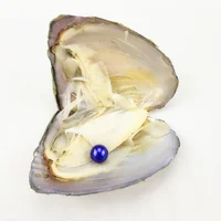 

Single,3A grade 34 colors natural freshwater pearl in Oyster Shells,7-8mm Round pearl,Pearl in Freshwater Oysters Vacuum-packed