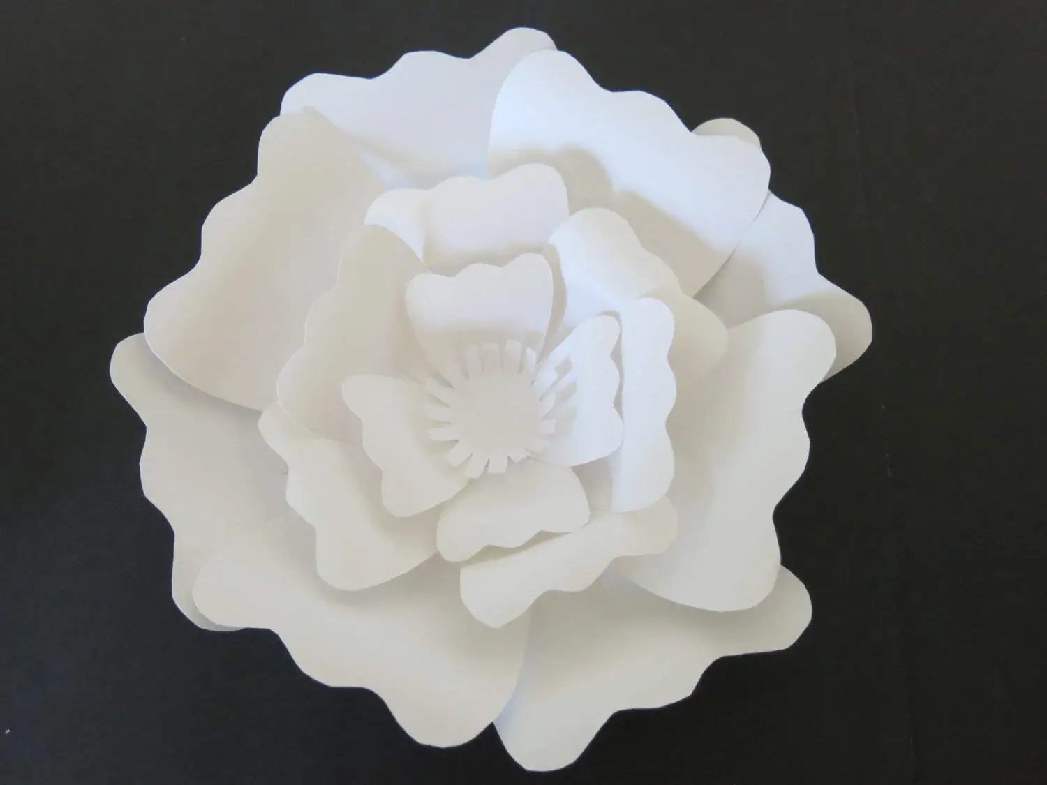 Cheap White Rose Wall, find White Rose Wall deals on line at Alibaba.com