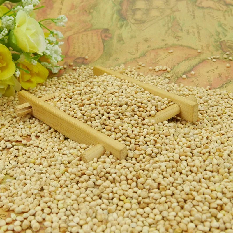 High quality pure glutinous white broomcorn millet for bird seeds