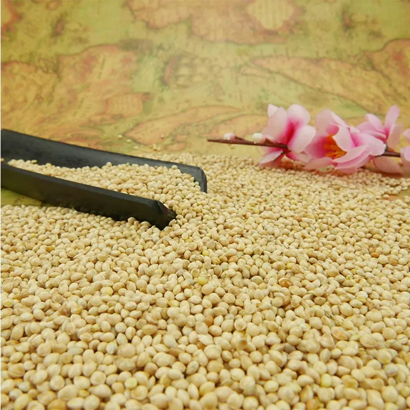 High quality pure glutinous white broomcorn millet for bird seeds