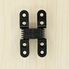 Shengang 2018 Hot Selling Item SS Concealed 3D Pivot Hinges For Cabinets door
