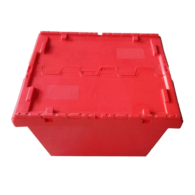 DWX009 (1).jpg